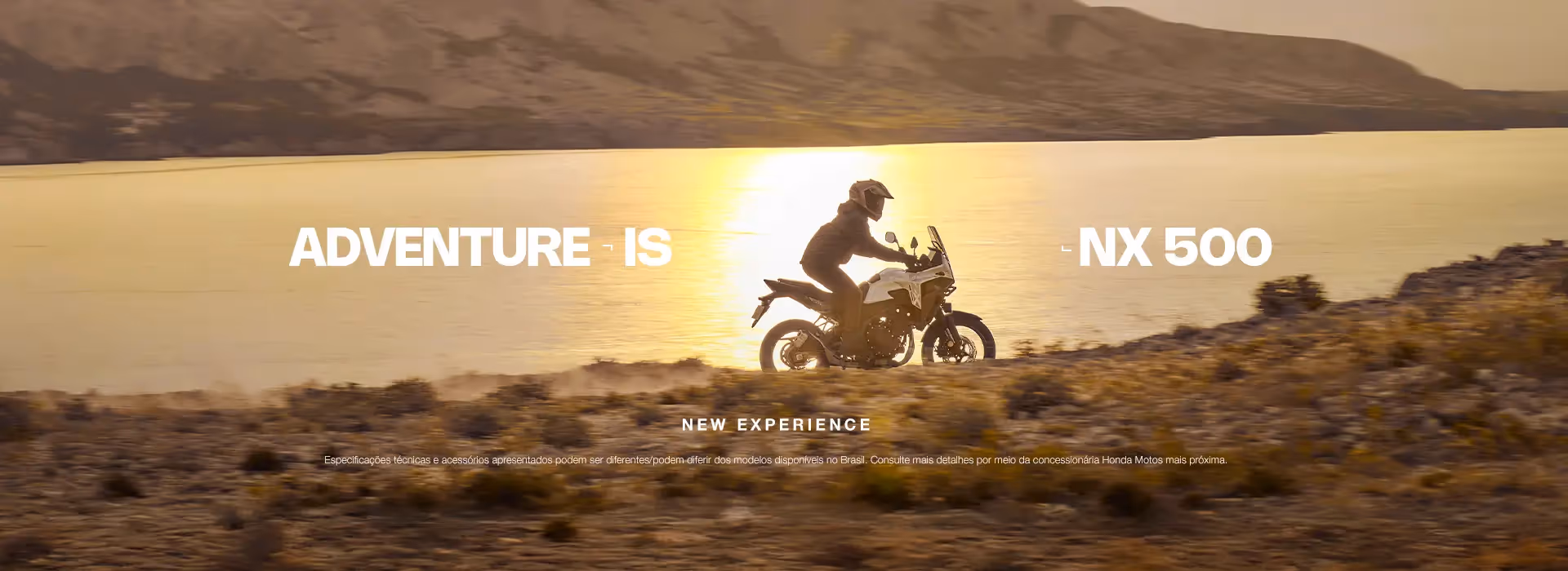 NX 500